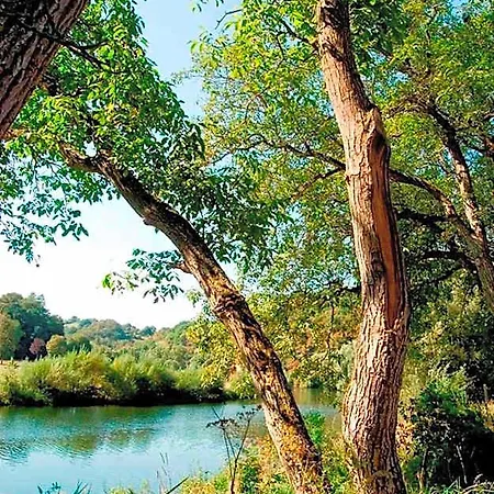 An Der Sauer