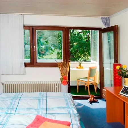 호텔 An Der Sauer 2*