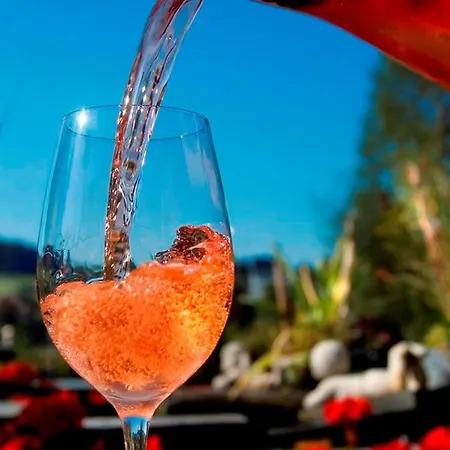 호텔 An Der Sauer Minden (Rhineland-Palatinate)